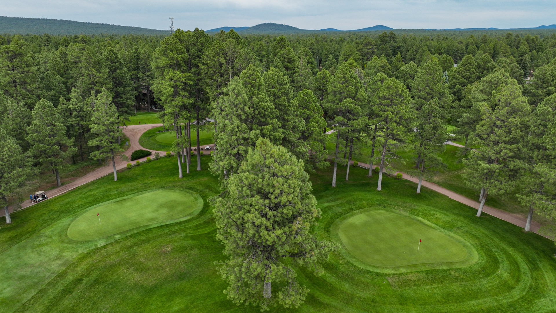 Golf courses